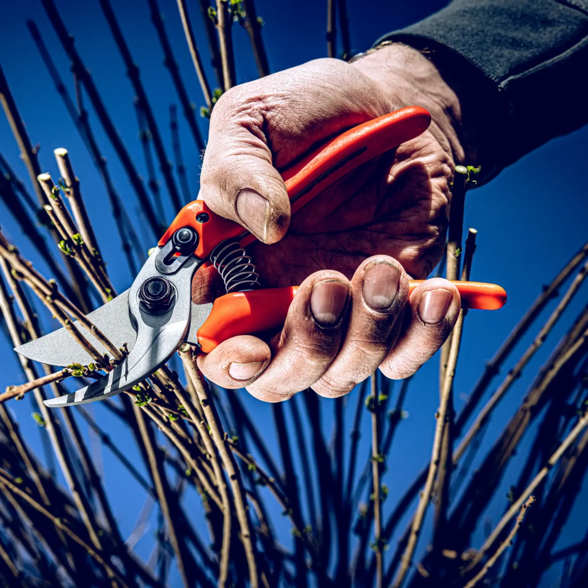 Nożyce ogrodowe Löwe 14.104 Economic Clean Cut