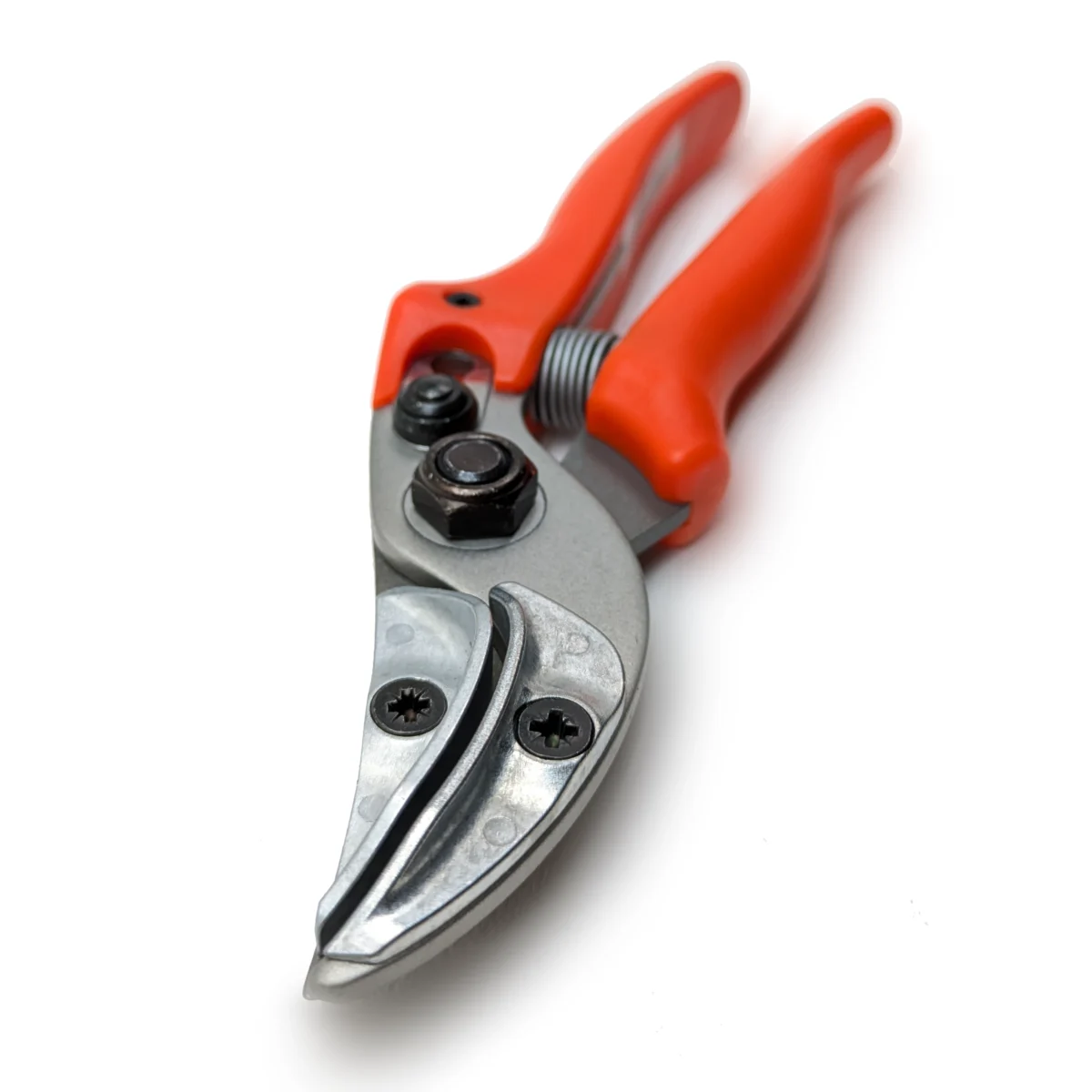 Oryginalne nożyczki do prezentacji róż Löwe