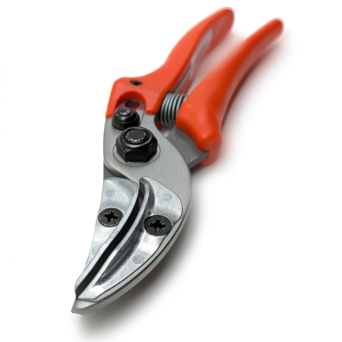 Oryginalne nożyczki do prezentacji róż Löwe